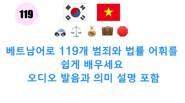베트남어로 119개 범죄와 법률 어휘를 쉽게 배우세요: 오디오 발음과 의미 설명 포함
